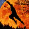 couverture jeu vidéo A Swinging Of Shadow - Revenge Lords Clan Rope
