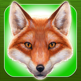 couverture jeu vidéo A What Does The Fox Jump Endless Runner Animal Racing Game by Awesome Wicked Games