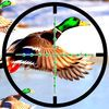 couverture jeu vidéo Action Duck Hunter Season Shooting