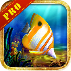 couverture jeux-video Adventure Of Neo 2 - The Celebrity poisson Pro