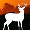 couverture jeu vidéo African Hunter: Hunt Deer in Safari