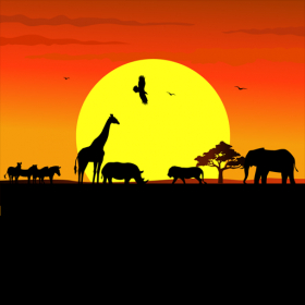 couverture jeu vidéo African Run HD