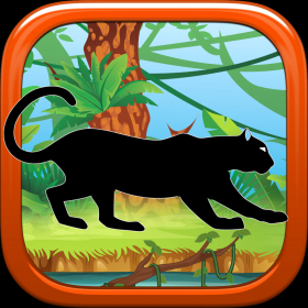 couverture jeu vidéo Agile Puma Cat