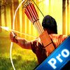 couverture jeu vidéo Aim And Fire  Pro : Bow and Arrow Tournament