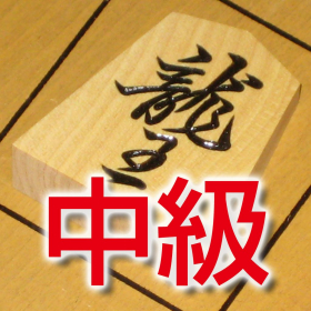couverture jeu vidéo Akira Watanabe's TsumeShogi, intermediate course