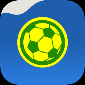 couverture jeu vidéo Amadeus Companion 2014