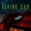 couverture jeu vidéo Amazing Bat Flying Car Race Pro - fast racing
