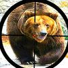 couverture jeu vidéo Amazing Bear Hunter 2016