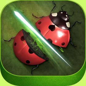 couverture jeu vidéo Amazing Bug Slicer Ninja: Bonsai War Heroes