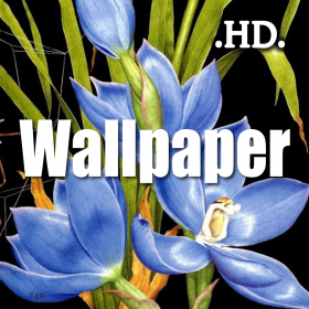 couverture jeu vidéo Amazing Cool Wallpaper Collection