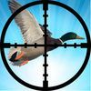 couverture jeu vidéo Amazon Duck:Easy as tap your finger