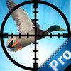 couverture jeux-video Amazon Duck Pro