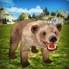 couverture jeu vidéo Angry Bear 3D Simulator - Wild Bears Jungle Attack Survival Game