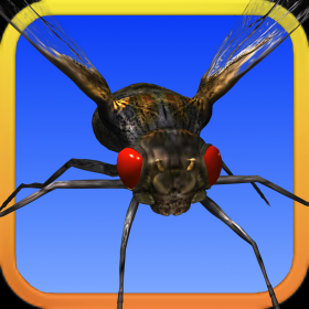 couverture jeu vidéo Angry Flies