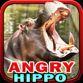 couverture jeu vidéo Angry Hippo
