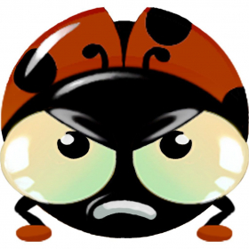 couverture jeux-video Angry LadyBird
