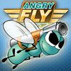 couverture jeu vidéo AngryFly