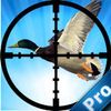 couverture jeux-video Animal Duck Pro: The best game of season