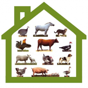 couverture jeux-video Animal House
