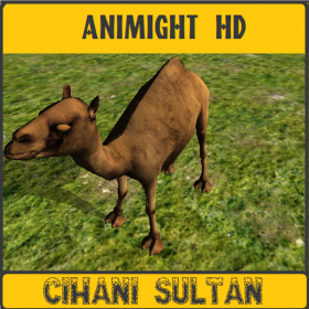 couverture jeu vidéo Animight