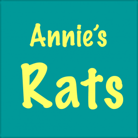 couverture jeu vidéo Annie's Rats