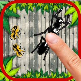 couverture jeu vidéo Ant and Bug Smasher Attack: FREE fun tap and smash game
