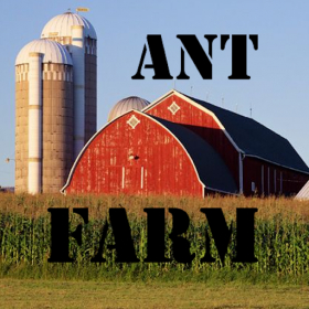 couverture jeu vidéo Ant Farm: Build and Conquer