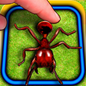 couverture jeu vidéo Ant Hitter Free
