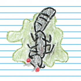 couverture jeu vidéo Ant Squash