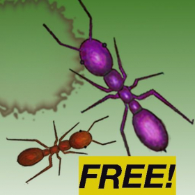 couverture jeu vidéo Ant Squish Free