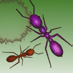 couverture jeu vidéo Ant Squish