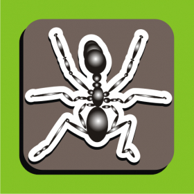 couverture jeu vidéo AntZilla