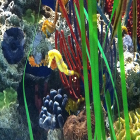 couverture jeu vidéo Aqua HD