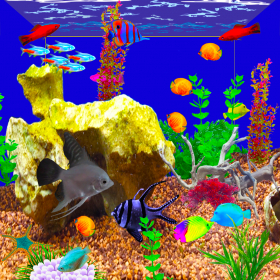 couverture jeu vidéo Aquarium Simulator