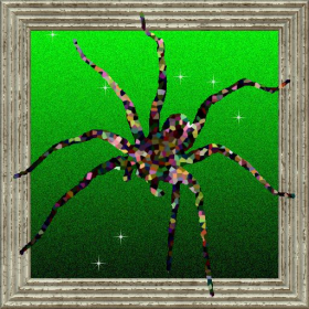 couverture jeu vidéo Arachnitap