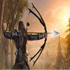 couverture jeu vidéo Archer Ambush