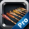 couverture jeu vidéo Archery Revenge Shooting PRO - Bow and Arrow Game Skills Tournament