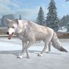 couverture jeu vidéo Arctic Wolf