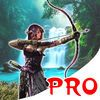 couverture jeu vidéo Arrow Ghost Shodown PRO - Magic Heroes Secret Fighters
