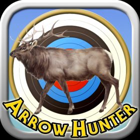 couverture jeu vidéo Arrow Hunter