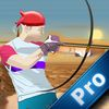 couverture jeu vidéo Arrow Sahara Legends PRO - Archery Shooting Tournament