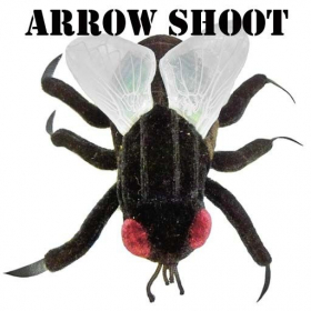 couverture jeu vidéo Arrow Shoot