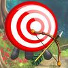 couverture jeu vidéo Arrow Target Multi - Ambush Explorer Game