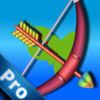 couverture jeu vidéo Arrow Tournament Pro: The Bow and Arrow Archery Game For Family, Friends And Kids