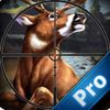 couverture jeu vidéo Attack Deer Pro : A Game For You