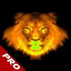 couverture jeu vidéo Attack Lion Ultimate: Instinct Animal PRO
