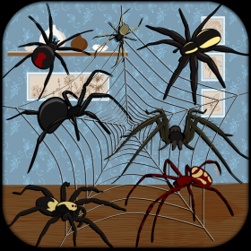 couverture jeu vidéo Attaque Smash et les araignées | A Bug populaires Mordant Tapping jeu gratuit