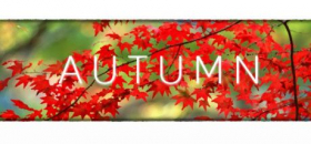 couverture jeu vidéo Autumn