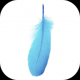 couverture jeu vidéo Baby Flappy Weather Bird FREE - An addicting cute birds game for kids