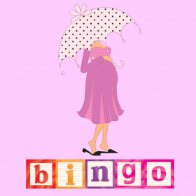 couverture jeu vidéo Baby Shower Bingo